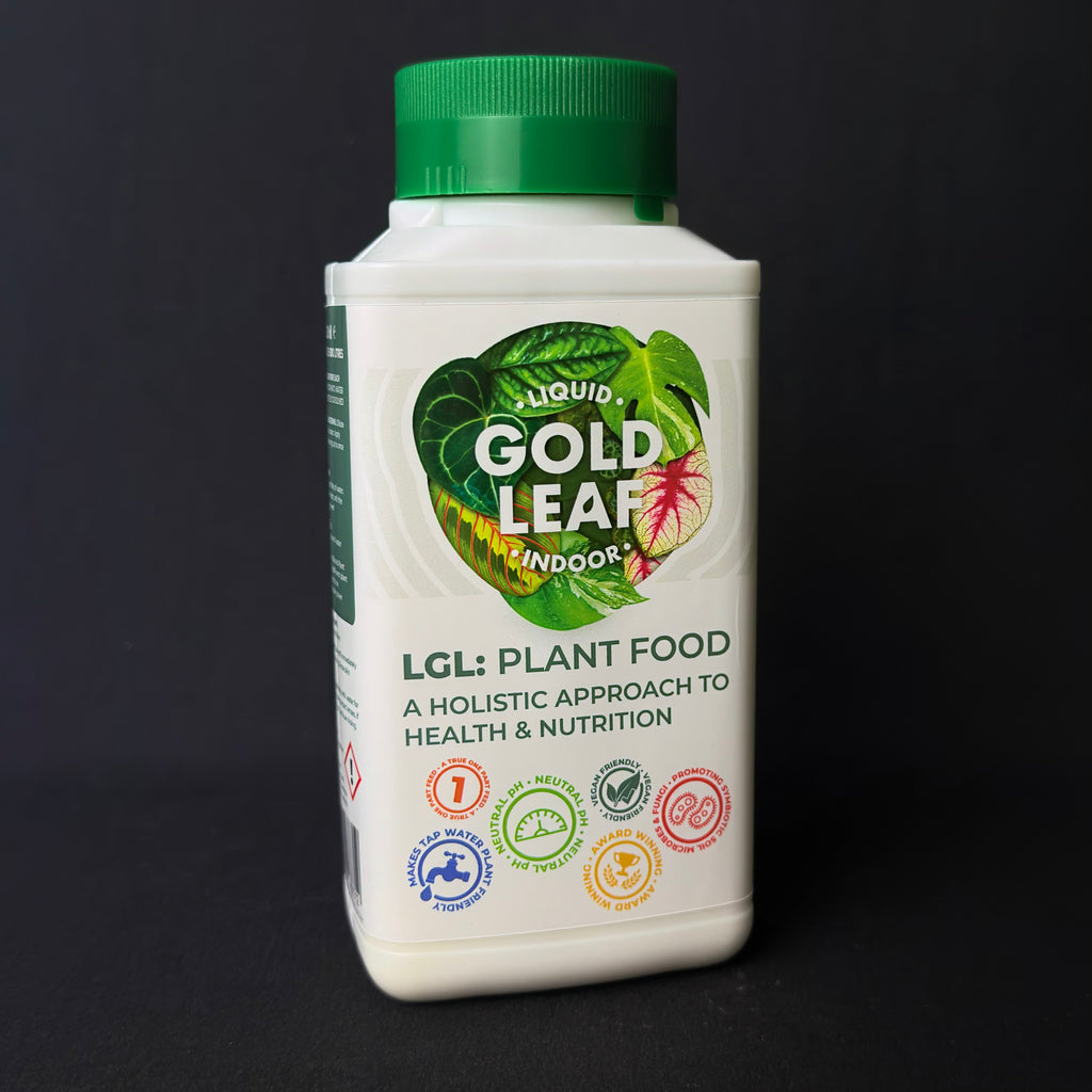 Liquid Gold Leaf Indoor