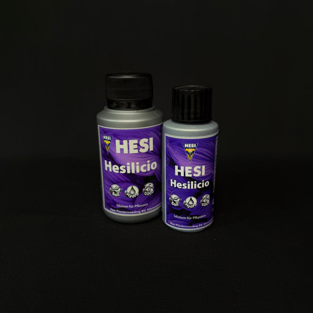 HESI Hesilicio