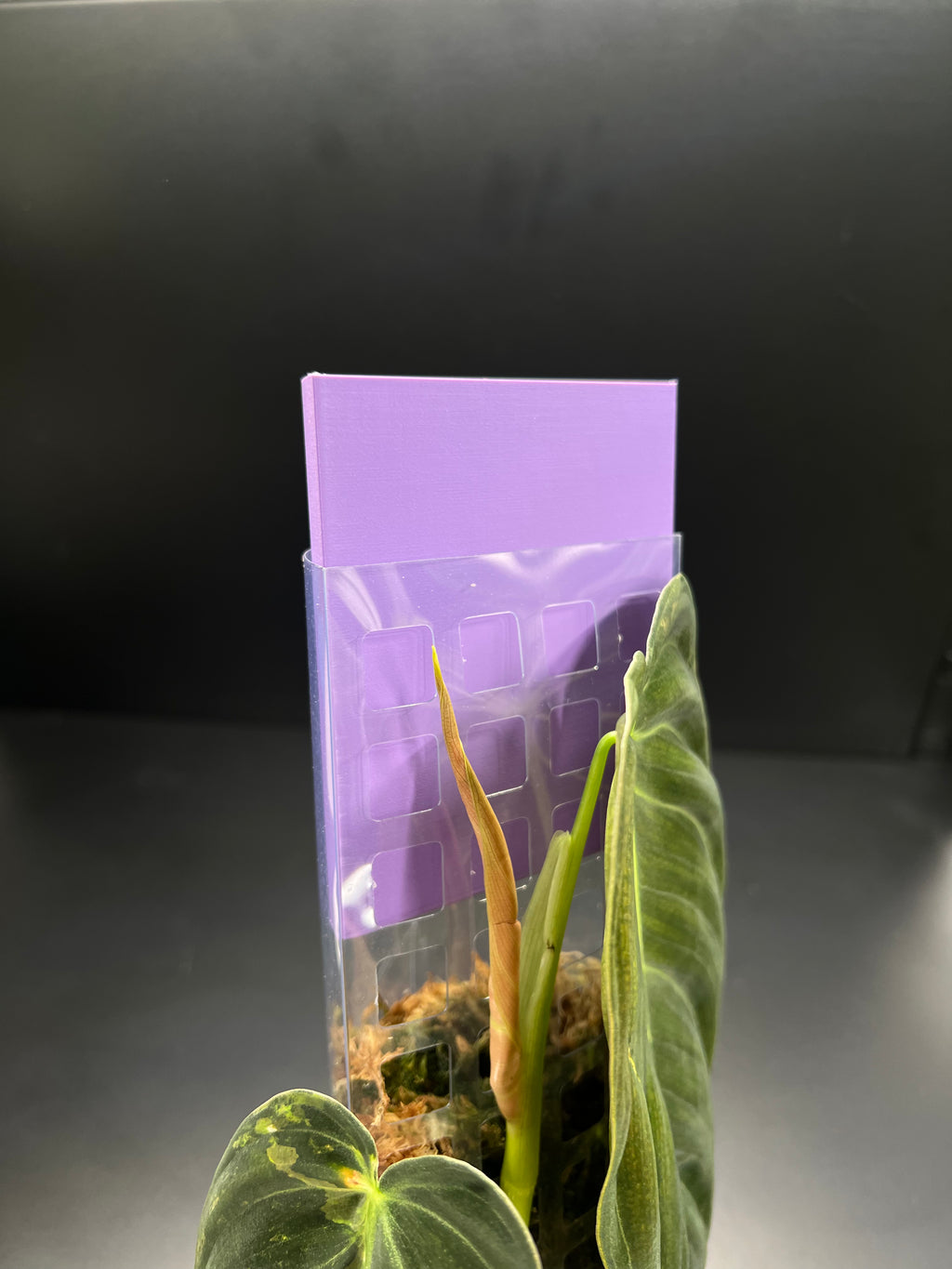 HydroDrop - Bewässerungshilfe