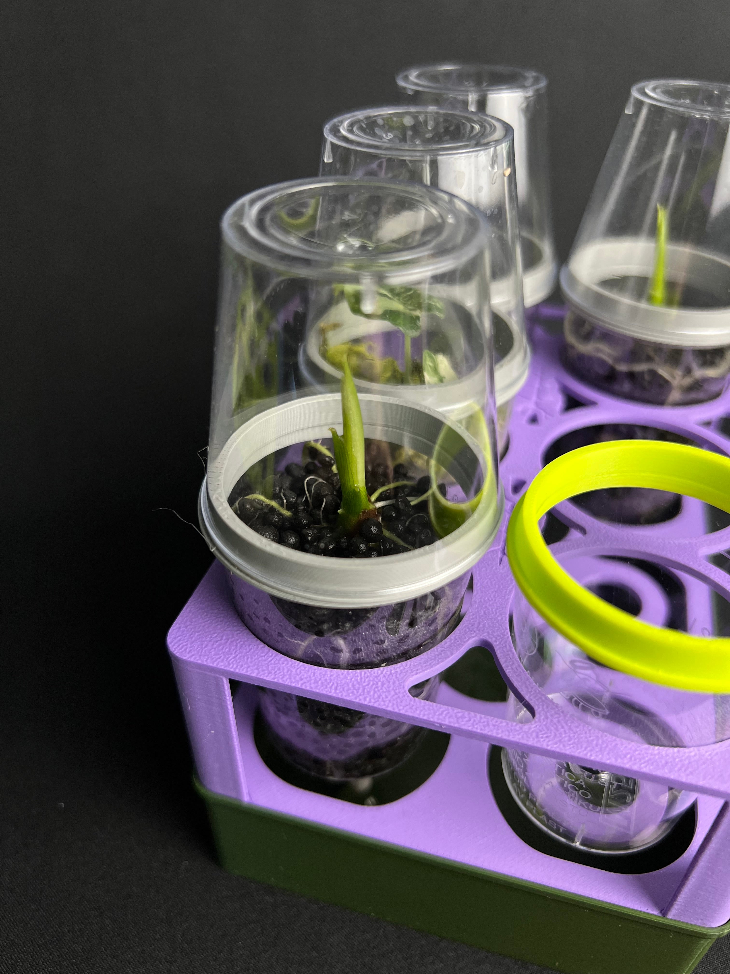 Aufsatzring mit Becher (für 4cl und 100ml)